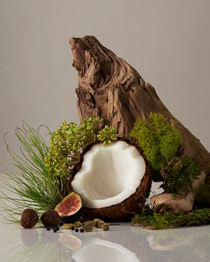 Body Butter