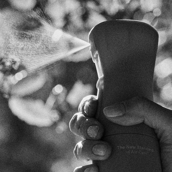 The Discovery Collection - Air & Fabric Spray