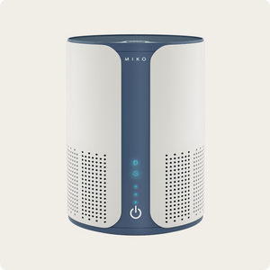 IBUKI Air Purifier