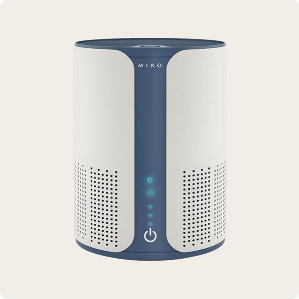 IBUKI Air Purifier