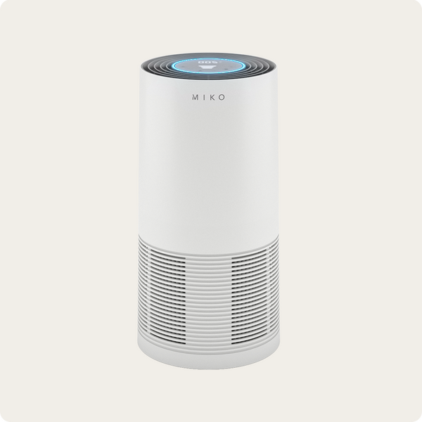IBUKI L Air Purifier