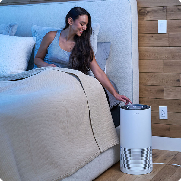 IBUKI L Air Purifier