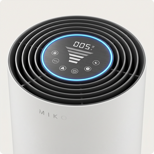 IBUKI L Air Purifier