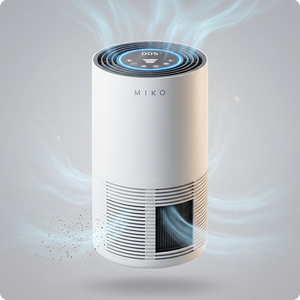 IBUKI M Air Purifier