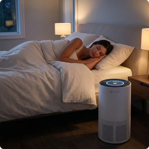 IBUKI M Air Purifier