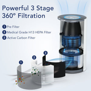 IBUKI M Air Purifier