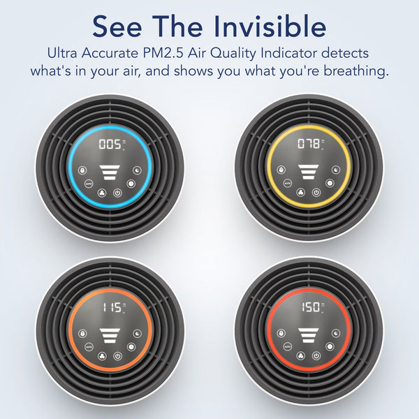 IBUKI M Air Purifier