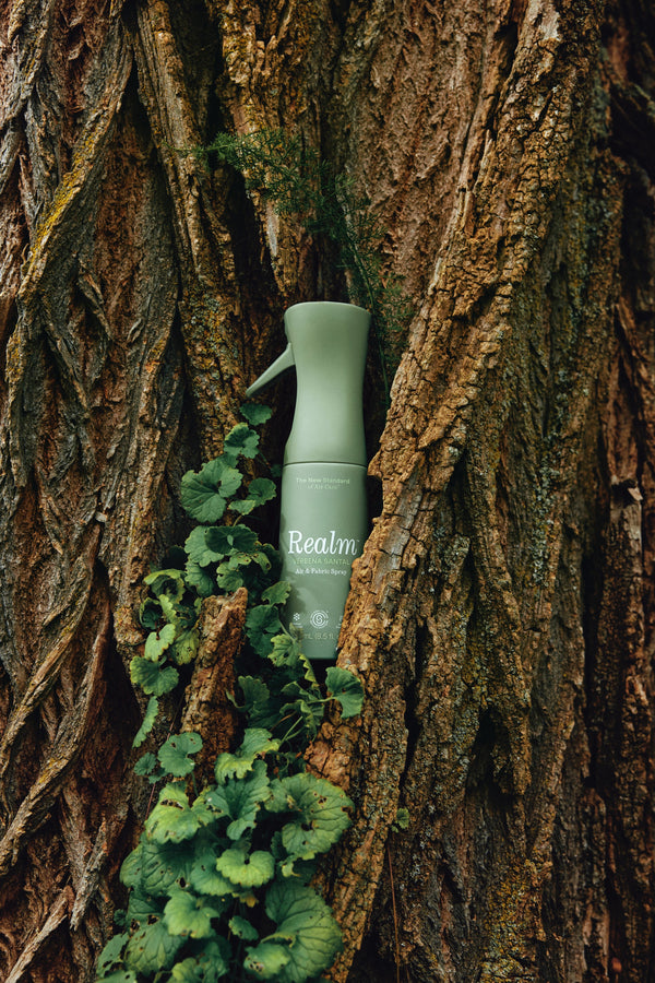 The Earthy Set - Air & Fabric Spray