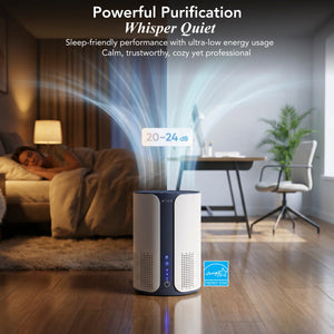 IBUKI Air Purifier